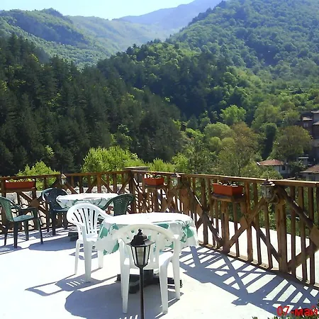 بيت ضيافة Perla باتشكوفو