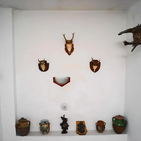 Perla بيت ضيافة باتشكوفو